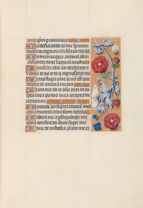 女王イザベラカトリック、スペイン女王の時間：フォル。 70r、c。 1500。 作： Master of the First Prayerbook of Maximillian