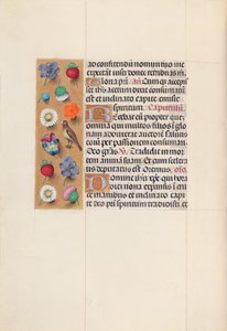 スペイン女王イザベラ女王の時間：フォル。 70v、c。 1500。 作： Master of the First Prayerbook of Maximillian