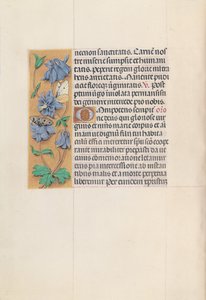 スペイン女王イザベラ女王の時間：フォル。 83v、c。 1500。 作： Master of the First Prayerbook of Maximillian