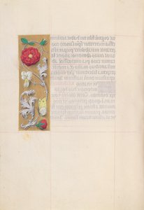 女王イザベラカトリック、スペイン女王の時間：フォル。 86v、c。 1500。 作： Master of the First Prayerbook of Maximillian