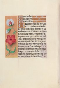 女王イザベラカトリック、スペイン女王の時間：フォル。 89v、c。 1500。 作： Master of the First Prayerbook of Maximillian