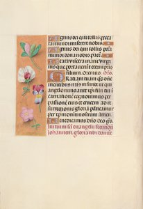 スペイン女王イザベラ女王の時間：フォル。 92v、c。 1500。 作： Master of the First Prayerbook of Maximillian