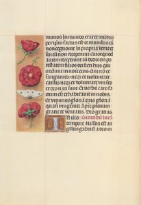 スペイン女王イザベラの時間：  フォル93v 作： Master of the First Prayerbook of Maximillian