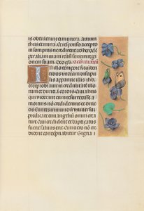 女王イザベラカトリック、スペイン女王の時間：フォル。 96r、c。 1500。 作： Master of the First Prayerbook of Maximillian