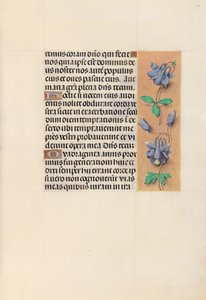女王イザベラカトリック、スペイン女王の時間：フォル。 99r、c。 1500。 作： Master of the First Prayerbook of Maximillian