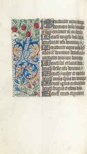ルーアンの時間使用法：fol。 42v、c。 1470。 作： Master of the Geneva Latini