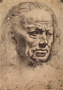 男の頭 作： Master of the Pala Sforzesca