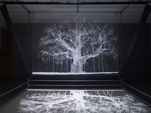 Albion, 2017（プロジェクター、メディアプレーヤー、足場装置、透明フィルム、木材、ペイント、鏡、ストレッチアクセサリー）