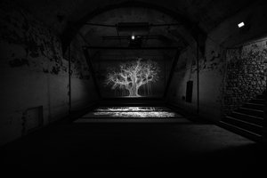 Albion, 2017（プロジェクター、メディアプレーヤー、足場装置、透明フィルム、木材、ペイント、鏡、ストレッチアクセサリー）