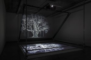 Albion, 2017（プロジェクター、メディアプレーヤー、足場装置、透明フィルム、木材、ペイント、鏡、ストレッチアクセサリー） 作： マット・コリショー