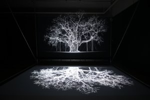 2023年、ロンドンのキューガーデンで開催されたマット・コリショーによる「Petrichor」展でのアルビオン（写真）