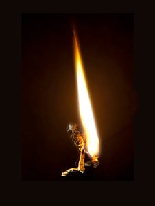 バーニングバタフライ8、2013（ラムダプリント） 作： マット・コリショー