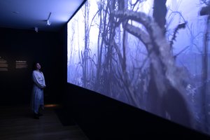 2023年、ロンドンのキューガーデンで開催されたマット・コリショーによる「Petrichor」展にて（写真）。