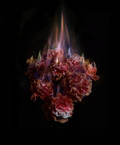 消えゆく太陽の記憶、2013年（Cタイプ写真） 作： Mat Collishaw