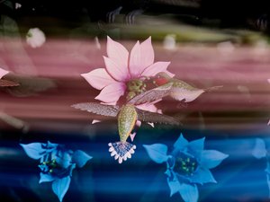 The Centrifugal Soul》2016年（アクリル、アルミニウム、スチール、LEDライト、モーター、電子回路、樹脂、塗料） 作： マット・コリショー