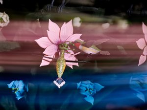 The Centrifugal Soul》2016年（アクリル、アルミニウム、スチール、LEDライト、モーター、電子回路、樹脂、塗料） 作： マット・コリショー