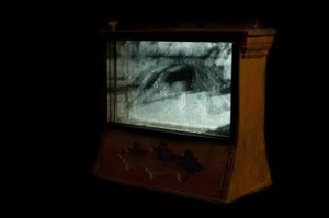Wormery, 2009 (木、ガラス、スチール、プロジェクター、プレーヤー)
