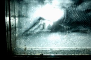 Wormery, 2009 (木、ガラス、スチール、プロジェクター、プレーヤー)