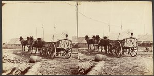  作： Mathew B. Brady