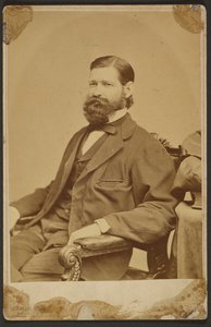 トーマス・デヴィッドソン・ジュニア 作： Mathew B. Brady