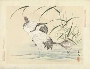 2羽の鶴と子 景文の花鳥画 第三部（連載タイトル） 景文課長画風講変 作： Matsumura Keibun