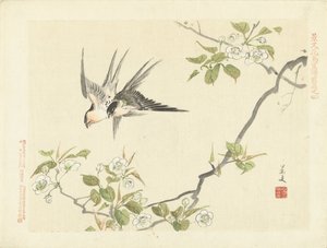 2羽のツバメ 景文の花鳥画 前編（連載タイトル） 景文課長画風全ペン 作： Matsumura Keibun