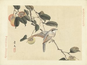 鳥と柿 景文の花鳥画 前編（連載タイトル） 景文課長画風全ペン 作： Matsumura Keibun