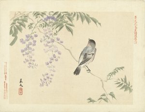藤の枝の鳥 景文の花鳥画 第三部（連載タイトル） 景文課長画風講変 作： Matsumura Keibun