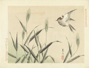 草の間を飛んでいる鳥 景文の花鳥スケッチ 前編（連載タイトル） 景文課長画風全ペン