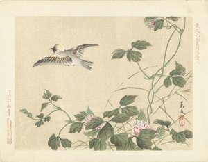 ピンクの花を持つつる性植物から飛び立つ鳥 景文の花鳥画 第三部（連載タイトル） 景文課長画風講変 作： Matsumura Keibun