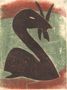白鳥、2013年（リノカット）