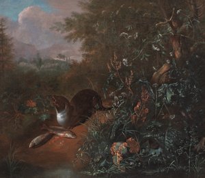 カワウソと2匹の魚のいる森の静物》1650-1700年頃 油彩・カンヴァス 作： Matthias Withoos