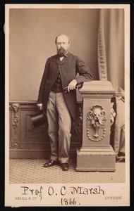 オトニエル チャールズ マーシュの肖像 1831 ～ 1879 年、1866 年。 作： Maull and Co