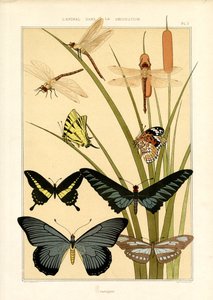  作： Maurice Pillard Verneuil