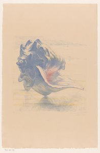 シェル 作： Maurits van der Valk (signed by artist)