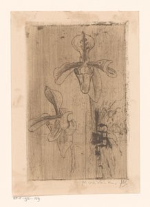 2 つの蘭と浜辺のカート 作： Maurits van der Valk (signed by artist)