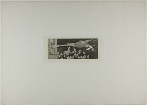 アブダクション、Aグローブより9枚目 作： Max Klinger