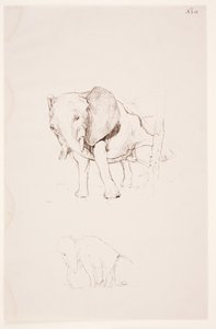 "Weg der Befleckung" - 象は緊急のニーズに応えます。 2つの研究 作： Max Klinger