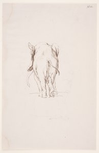 "Weg der Befleckung" - "象と嗅ぎ犬" 作： Max Klinger