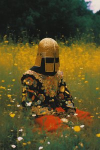花畑の黄金のヘルメット