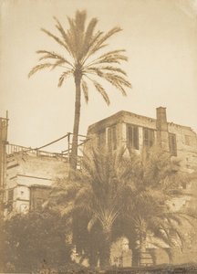 ナツメヤシとメゾン デュ カルチェ フラン、カイロ、1849 年 12 月～1850 年 1 月。 作： Maxime Du Camp