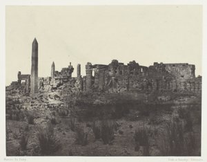 カルナック宮殿、遺跡の全体図、北から撮影。 テーベ 作： Maxime Du Camp