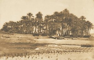アスワンの向かいにあるエレファンティネ島の眺め、1849～50年。 作： Maxime Du Camp