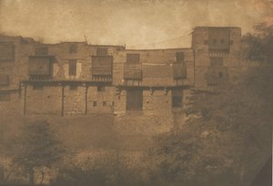 1849年12月から1850年1月にかけて、カイロのフランスクォーターの庭から撮影された風景。