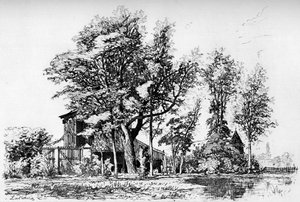 レアカシア、c1850-1895 1924