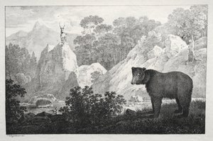フォア グラウンドでクマと山岳風景 作： Maximilian Josef Wagenbauer