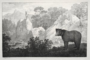 フォアグラウンドでクマと山岳風景。 作： Maximilian Josef Wagenbauer