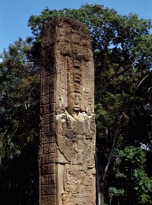 大広場に設置されたEステイルの詳細 作： Mayan