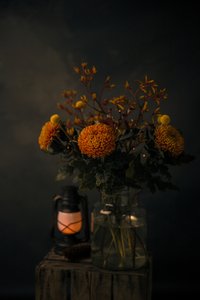 秋の花の輝き 作： 