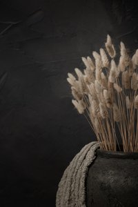 暗い花瓶のラグラス 作： 